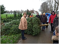 Weihnachtsbaumaktion