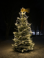 Weihnachtsbaum bei Gramann