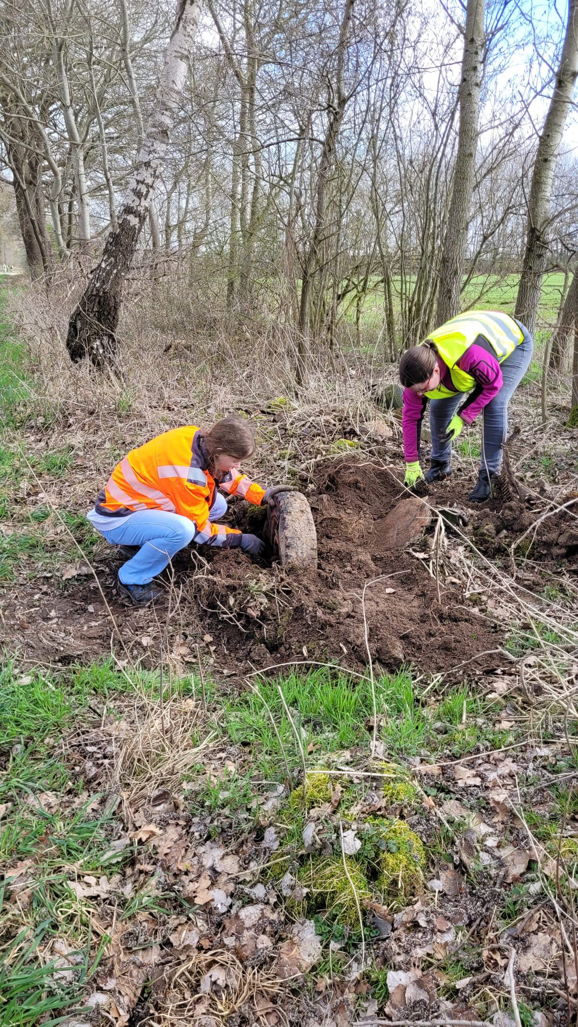 Müll, Müll und nochmals Müll